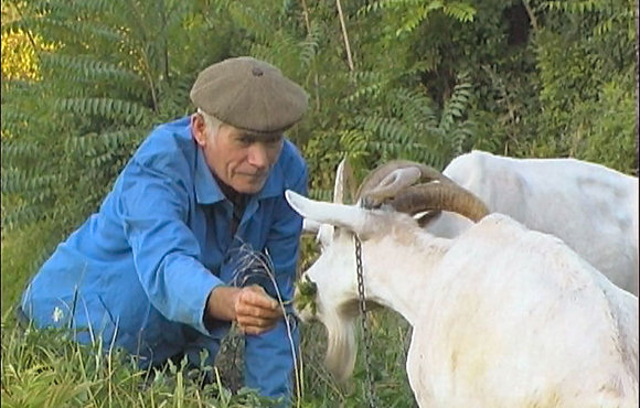 Il Postino